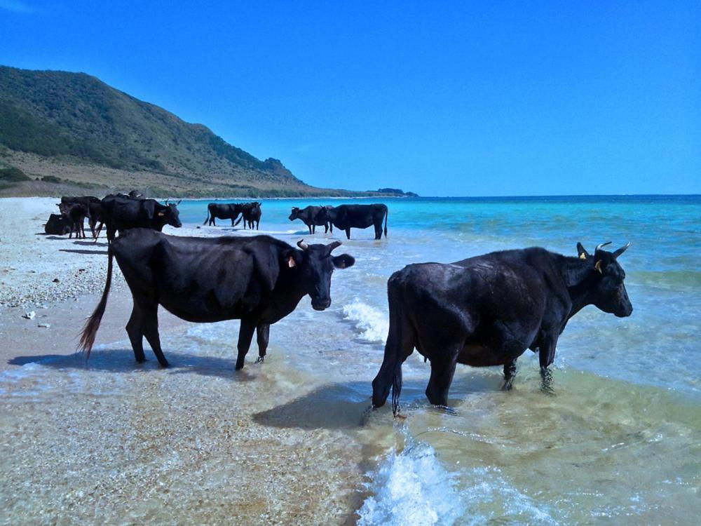 435 Hotel Ishigaki  ภายนอก รูปภาพ